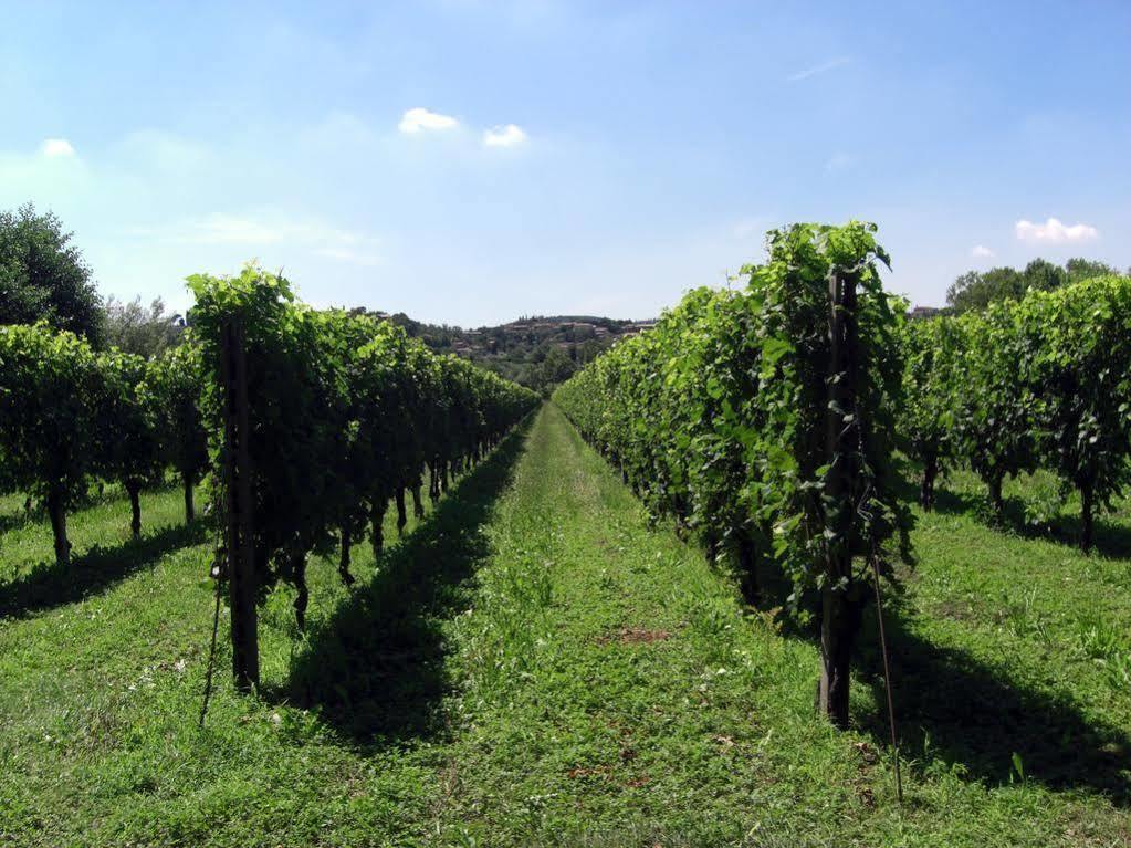 Il Vigneto Affittacamere Manerba del Garda Zewnętrze zdjęcie