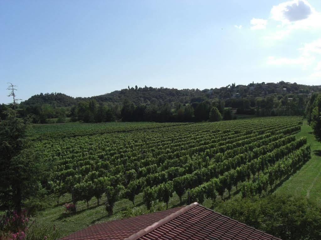 Il Vigneto Affittacamere Manerba del Garda Zewnętrze zdjęcie