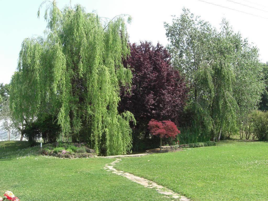 Il Vigneto Affittacamere Manerba del Garda Zewnętrze zdjęcie