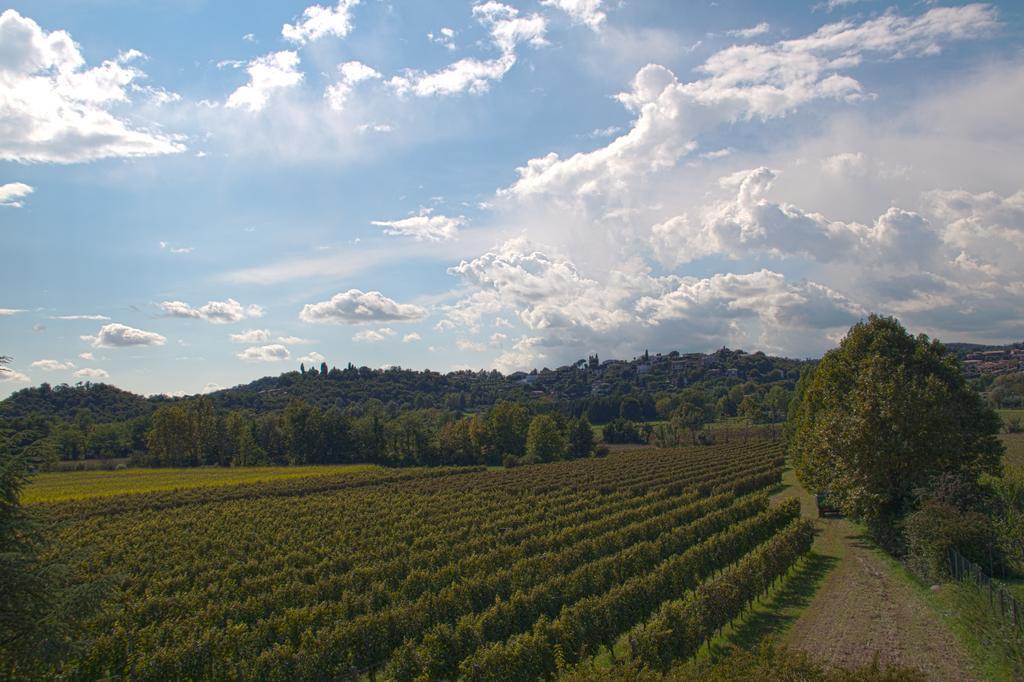 Il Vigneto Affittacamere Manerba del Garda Zewnętrze zdjęcie